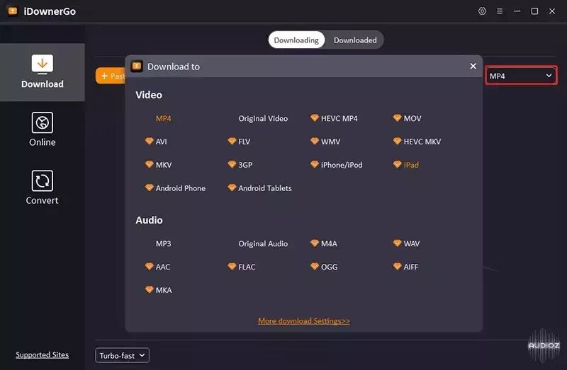 Download iDownerGo v10.2.3 Multilingual » AudioZ